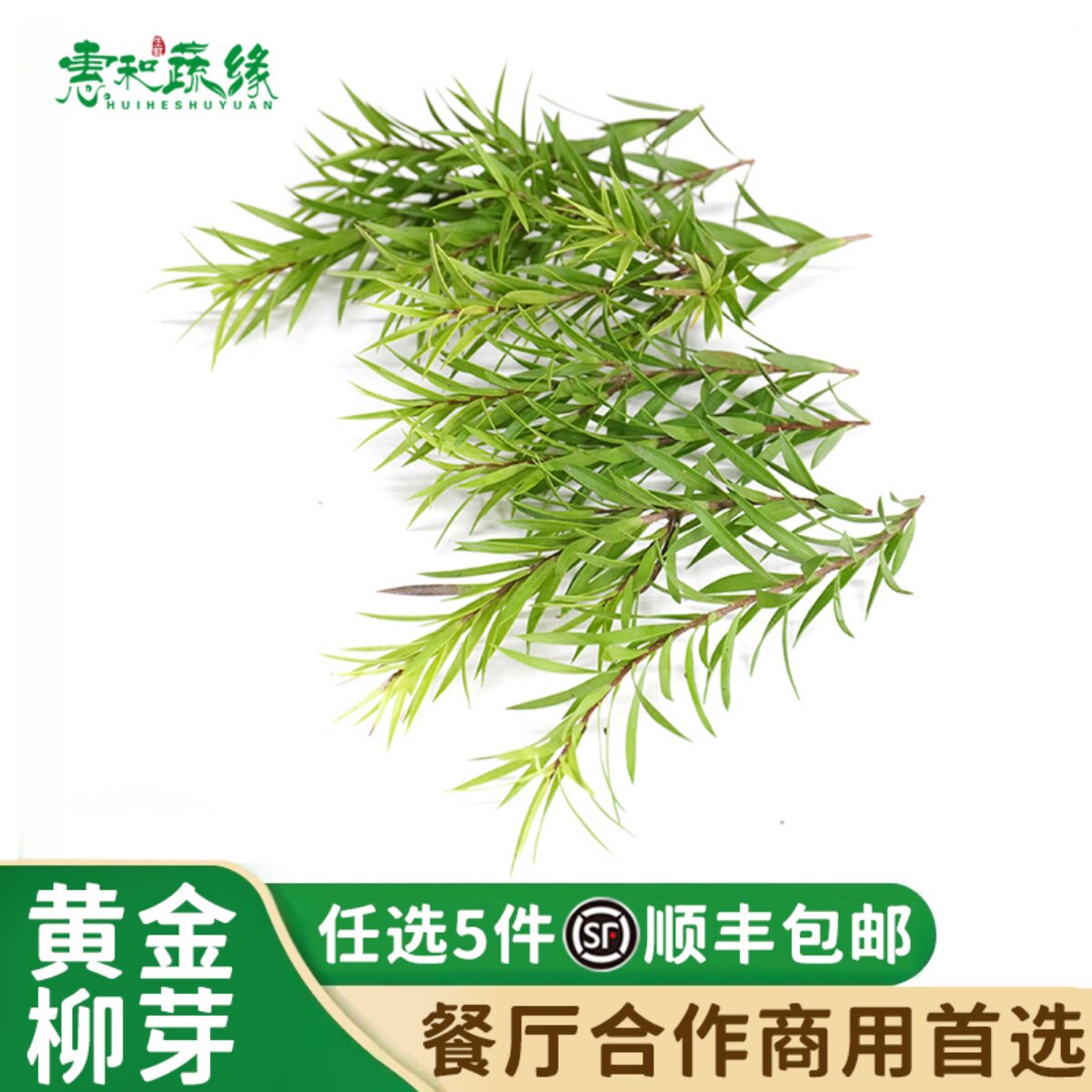 黄金柳芽新鲜柳条叶西餐日料酒店餐厅摆盘蛋糕装饰点缀鲜花草 10g