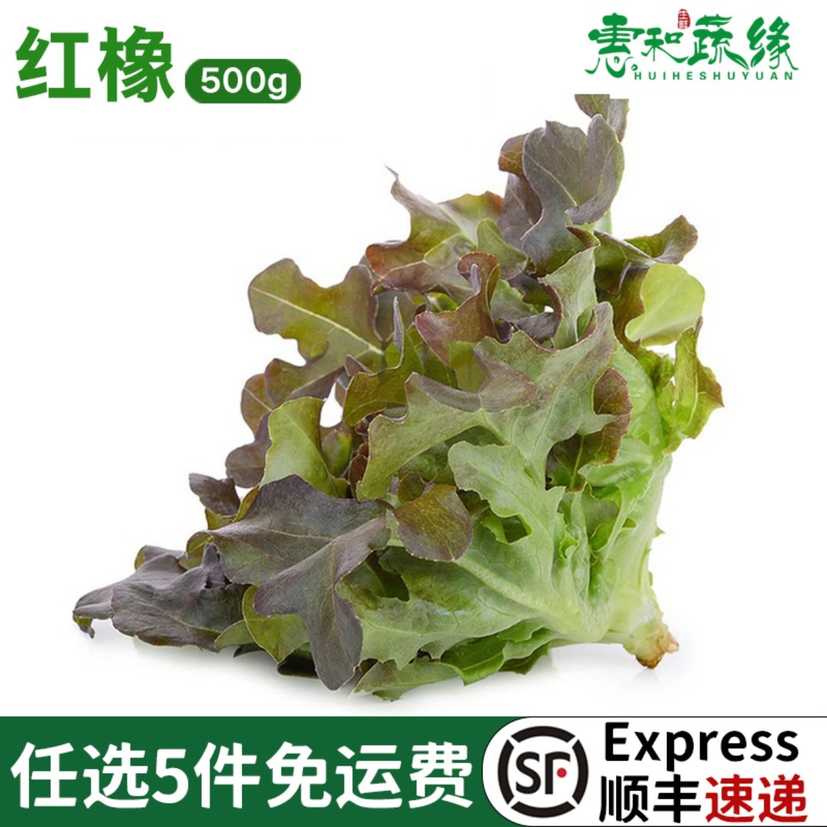 生菜新鲜西餐沙拉食材健身