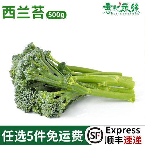西兰苔新鲜蔬菜青花苔500g