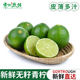 无籽青柠檬新鲜青柠皮薄多汁5斤 奶茶店柠檬茶用新鲜小青宁 包邮