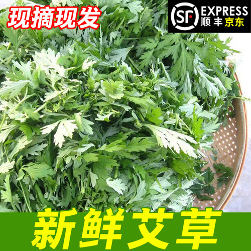 艾草新鲜食用蔬菜现摘清明草粑粑青团3斤艾叶新鲜艾草叶当季蔬菜