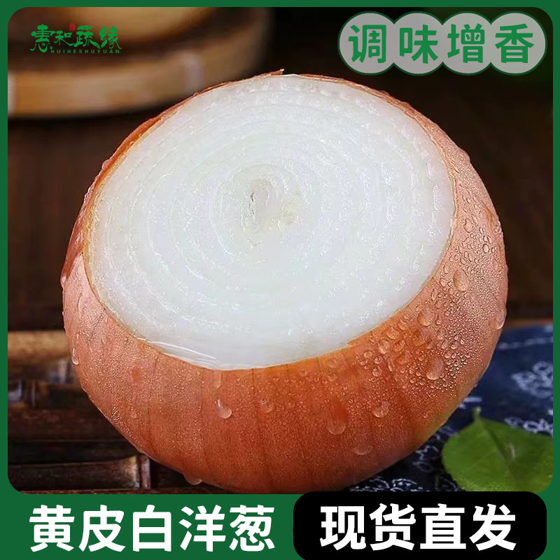 黄皮白洋葱新鲜白肉洋葱圆葱农家披萨西餐新鲜蔬菜调味调料食材