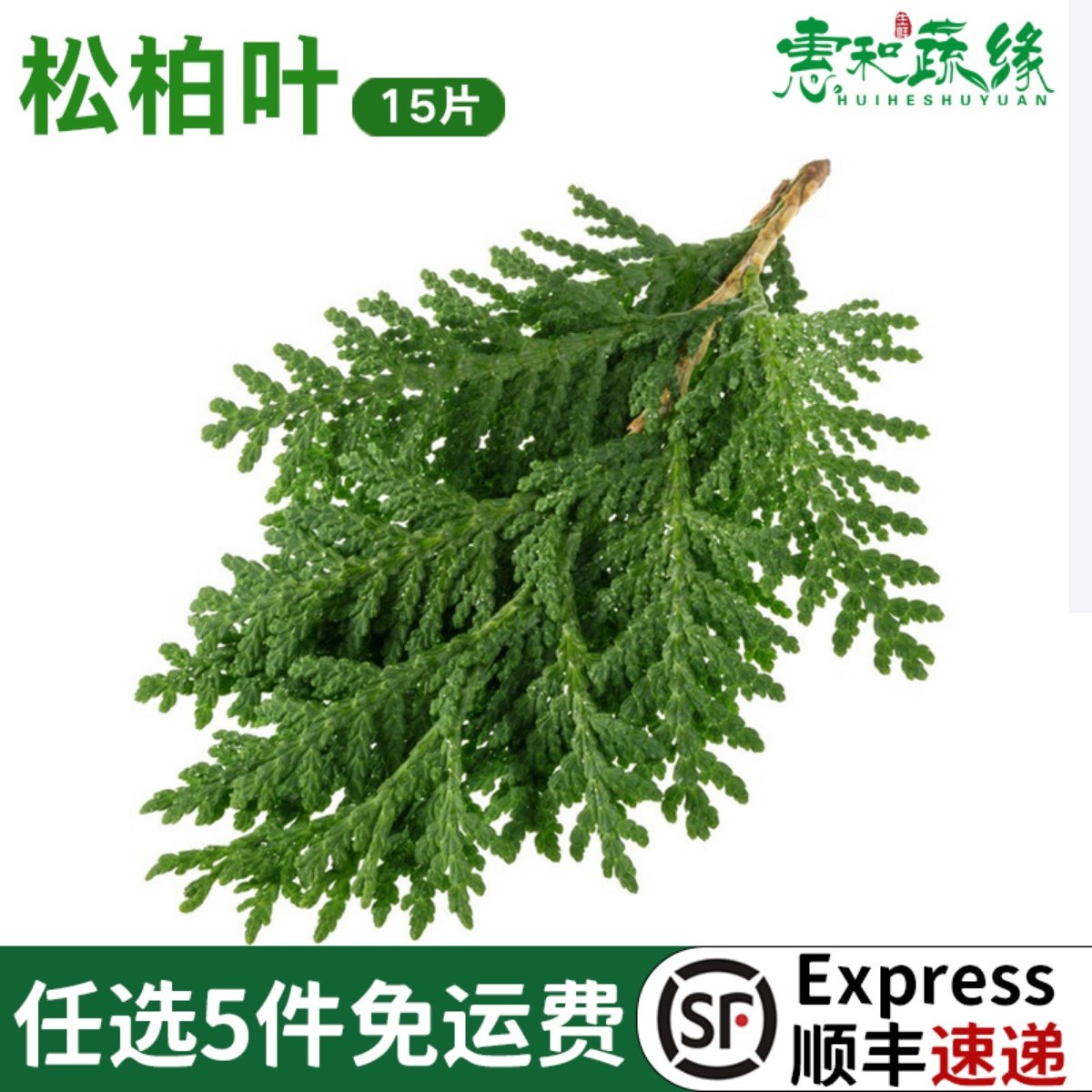 扁柏新鲜蛋糕装饰15西餐点缀摆盘