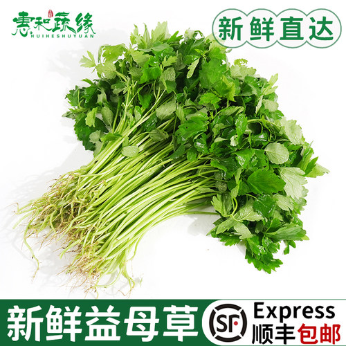 新鲜益母草煲汤煎蛋蔬菜