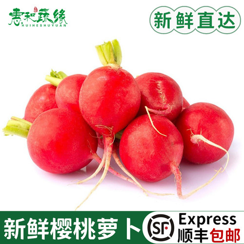 樱桃萝卜新鲜小红萝卜水果萝卜西餐沙拉蔬菜健身食材4斤顺丰包邮
