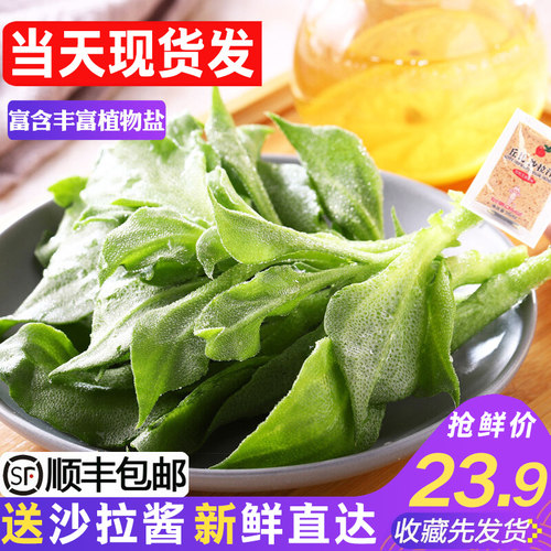 冰草蔬菜价格 冰草蔬菜图片 星期三