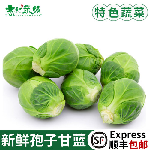 孢子甘蓝新鲜食用西餐沙拉蔬菜食材迷你小宝菜小卷心菜抱子甘蓝