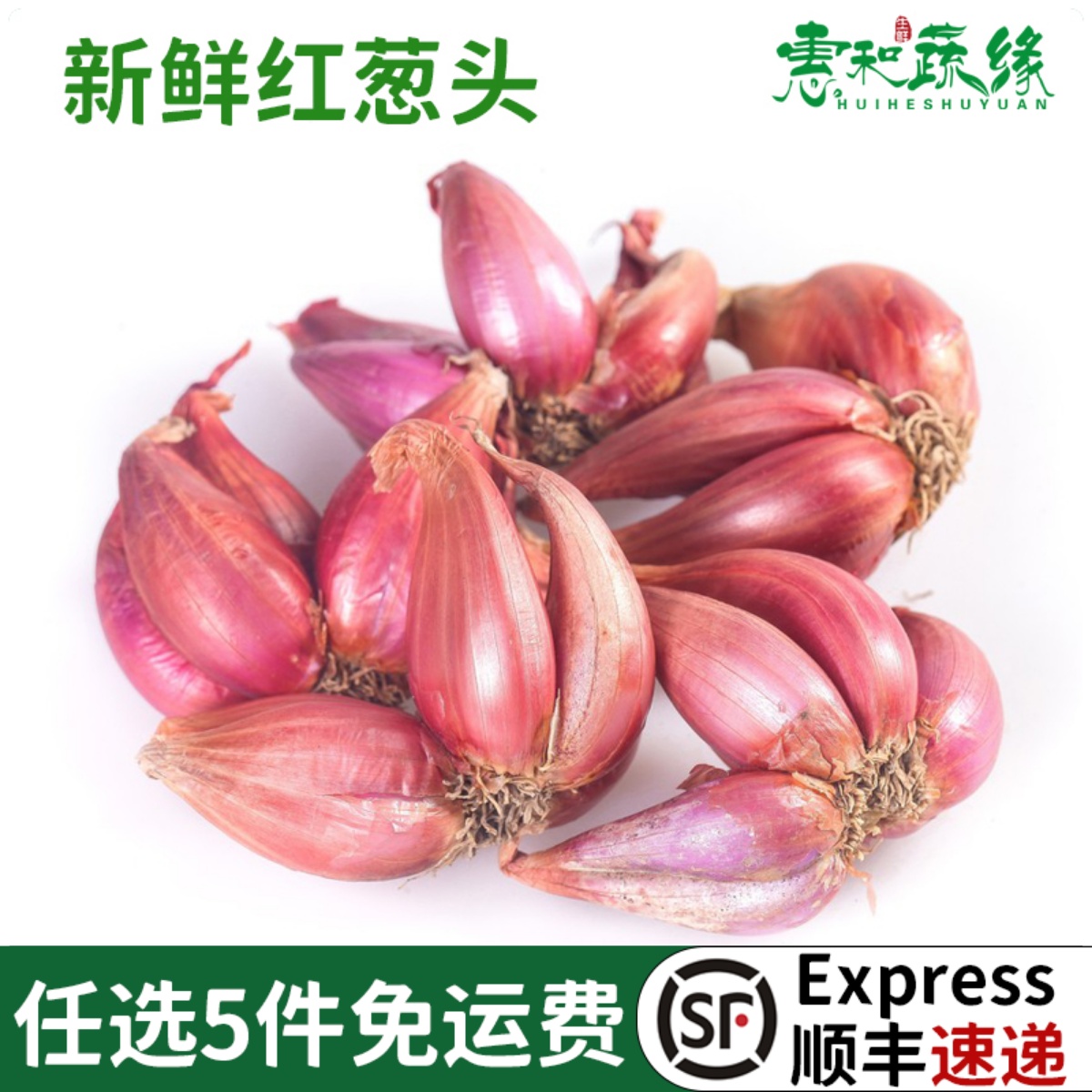 正宗红葱头500g干葱头香葱头火葱头种香新鲜小葱头农家自种小葱