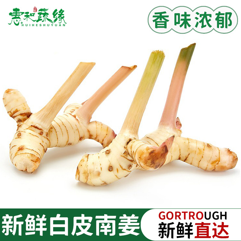 泰国南姜新鲜香料菜泰式冬阴功