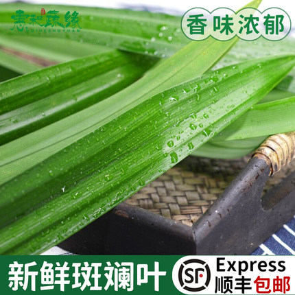 斑斓叶新鲜食用香兰叶班兰叶商用500g蛋糕烘焙甜品千层芒果糯米饭