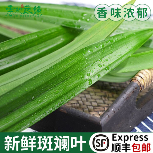 斑斓叶新鲜食用香兰叶泰式食材