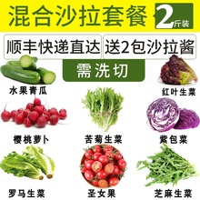 蔬菜沙拉蔬菜新鲜套餐健身即食混合装 西餐沙拉轻食材生吃沙拉生菜
