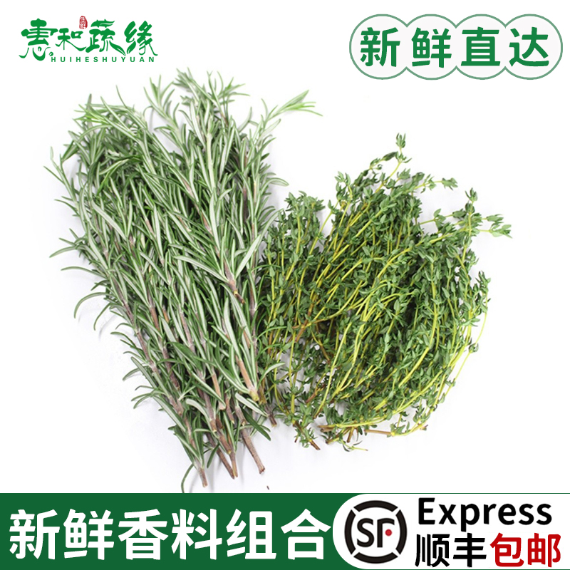 迷迭香食用新鲜煎牛排用调味调料