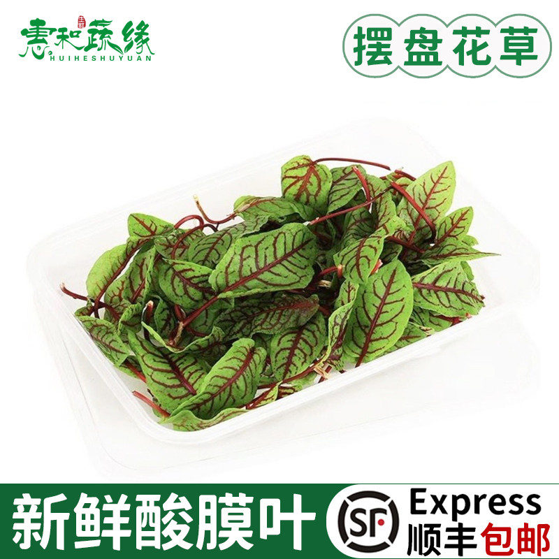 饭店摆盘装饰西餐新鲜食用花浆草