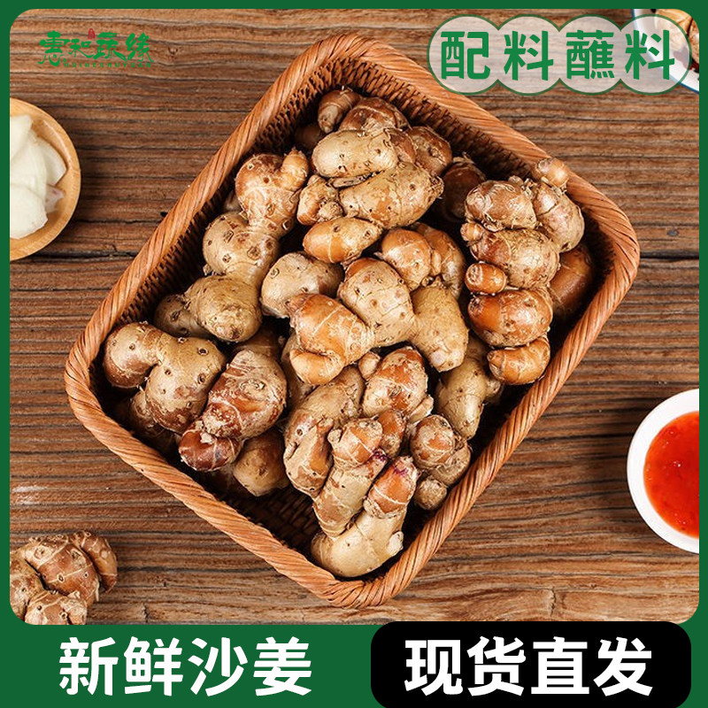 正宗沙姜新鲜山奈沙姜白切鸡椰子鸡猪脚配料蘸料新鲜蔬菜特产生姜