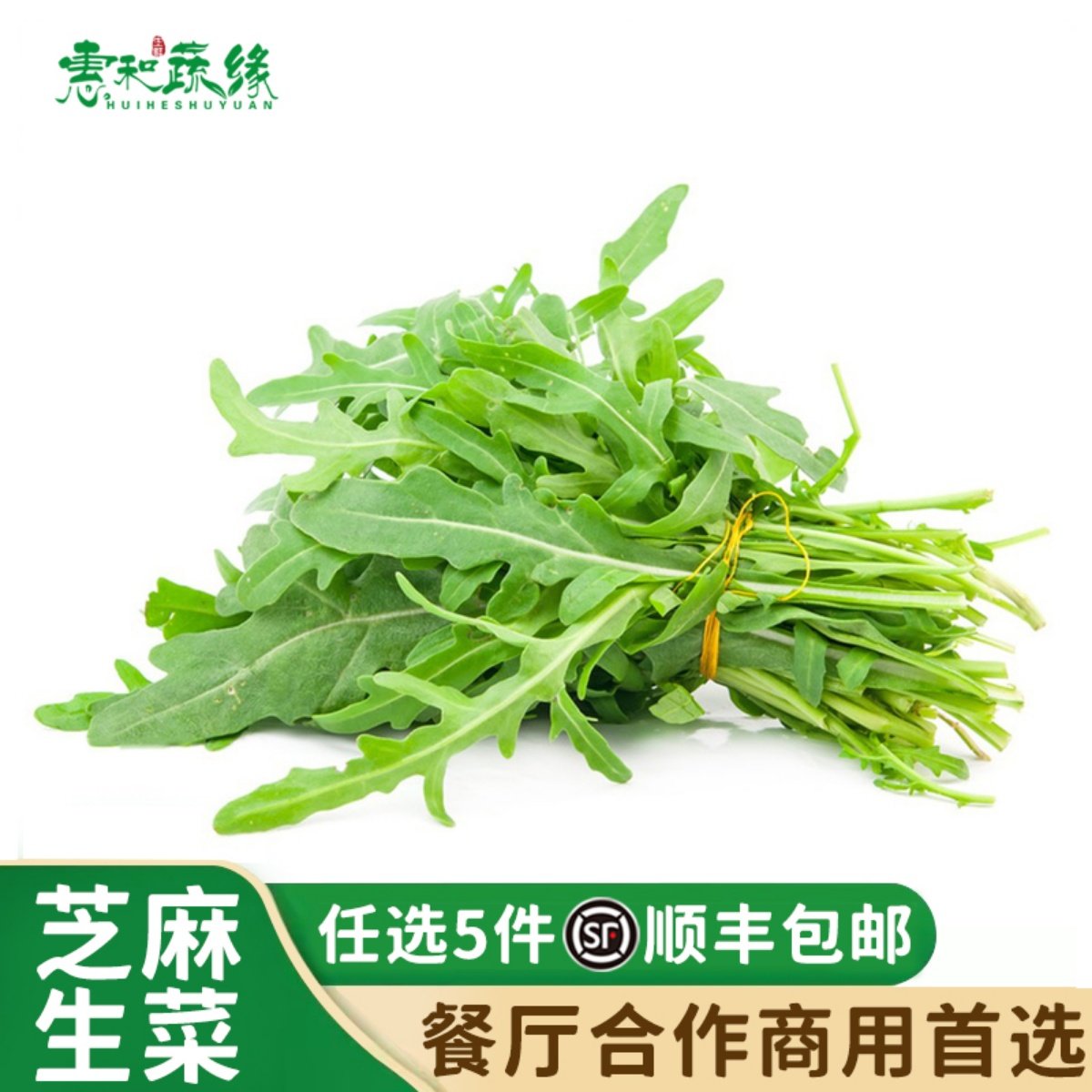 新鲜芝麻叶芝麻菜沙拉蔬菜低脂营养食材轻食西餐生菜食用火箭菜