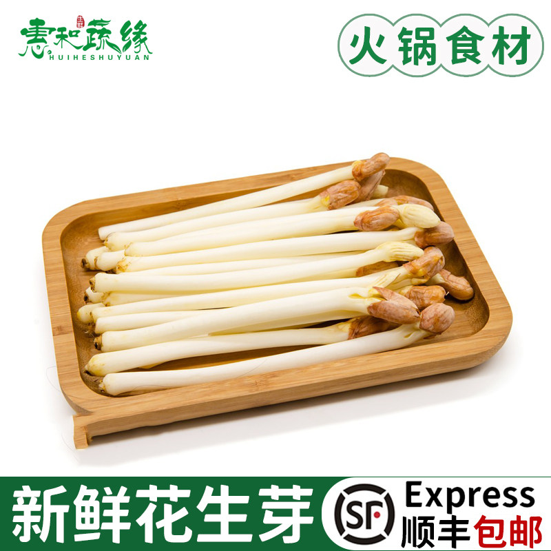 花生芽新鲜蔬菜当天采摘花生苗长寿芽火锅苗菜沙拉 花生芽500g