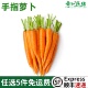 新鲜去叶手指萝卜500g迷你水果胡萝卜蔬菜沙拉轻食西餐生吃食材