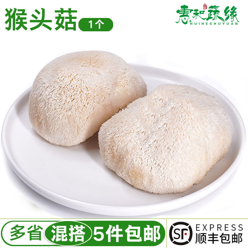猴头菇新鲜干货食用煲汤火锅蔬菜