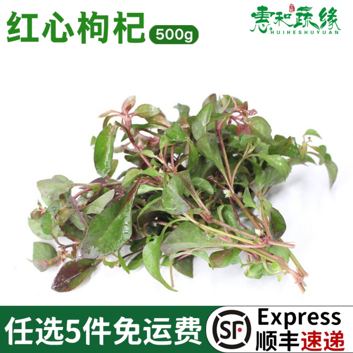 红心枸杞新鲜农家蔬菜酒楼饭店炖汤500g
