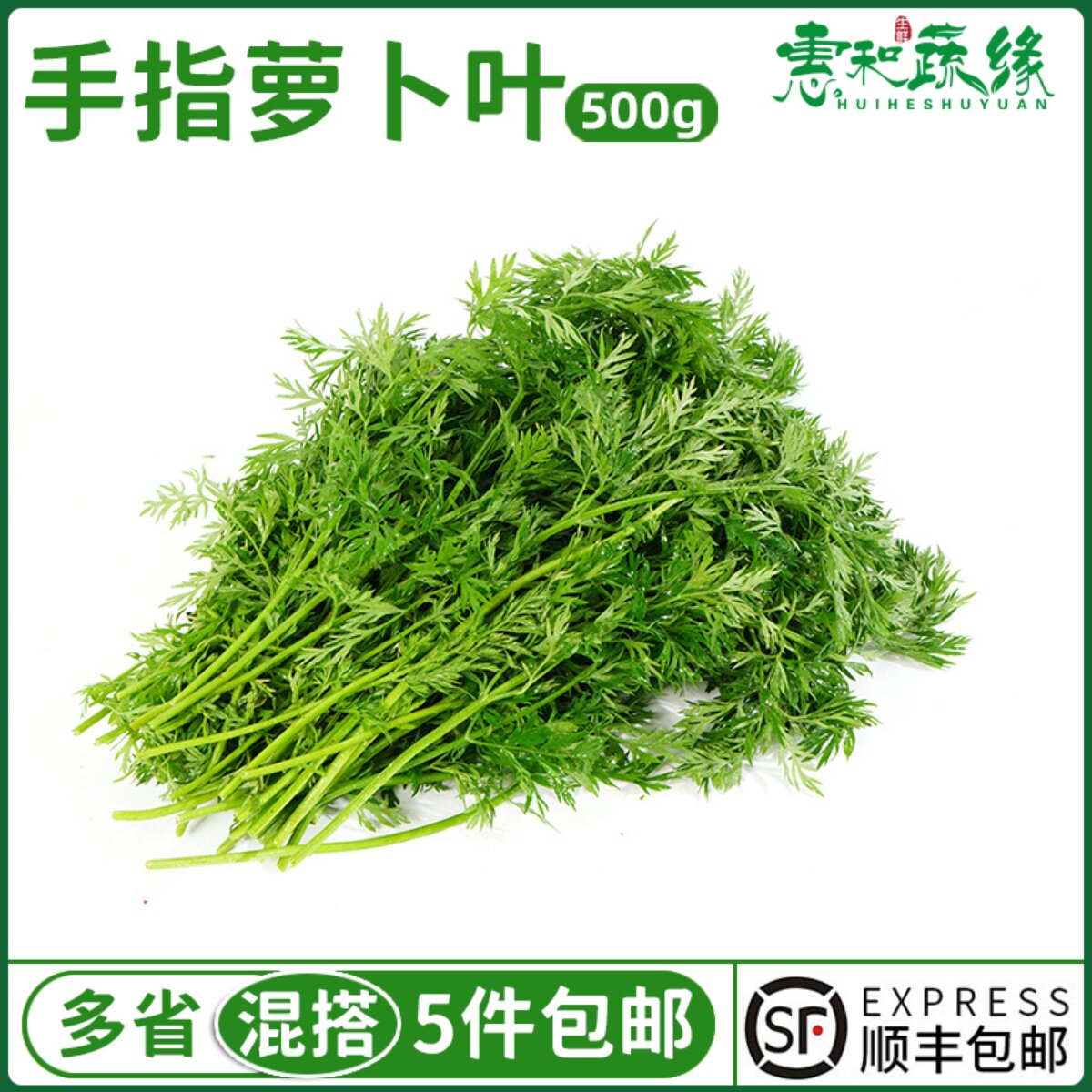 新鲜手指萝卜叶子500g摆盘装饰点缀花草叶子手指胡萝卜纯叶子