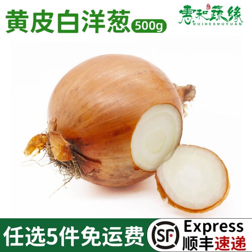 新鲜白洋葱黄皮白肉洋葱农家圆葱西餐披萨新鲜蔬菜食材调味调料