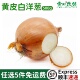 新鲜白洋葱黄皮白肉洋葱农家圆葱西餐披萨新鲜蔬菜食材调味调料