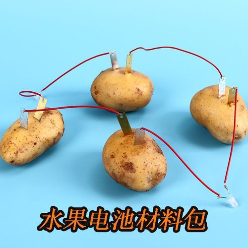 水果蔬发电池物理类科学实验追鹿