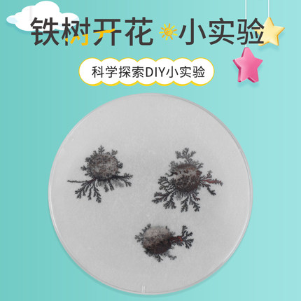 化学实验器材铁树开花 小学生科教教具儿童手工DIY科技小制作材料