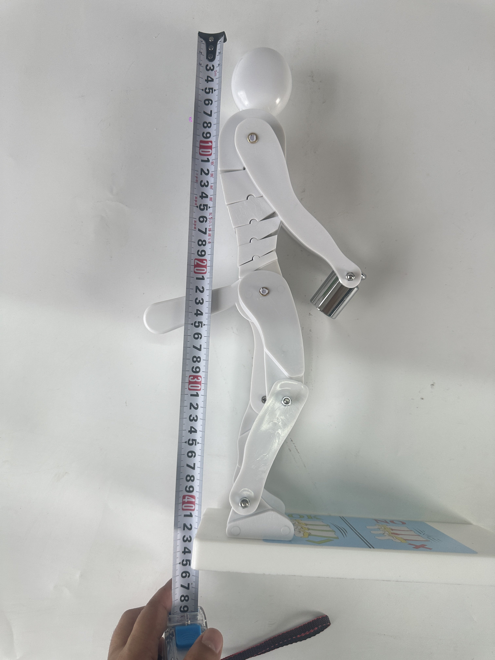 人体弯腰举重脊椎受力演示模型健身重物正确姿势演示腰部腰椎保护