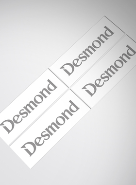 适用Desmond Regamaster EVO wheel decal 轮毂翻新修复改色贴纸