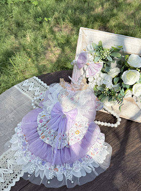 AW紫色烫钻闪亮蝴蝶丝带宠物狗狗约克夏八哥法斗猫咪兔子通穿婚纱