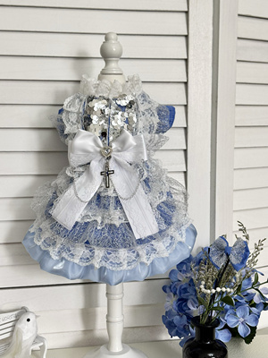 宠物放掉毛柯基布偶蓝猫马尔济斯