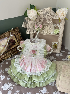 AW春夏款 甜美郁金香蓝猫布偶清新露营狗狗游玩上镜田园风宠物衣服