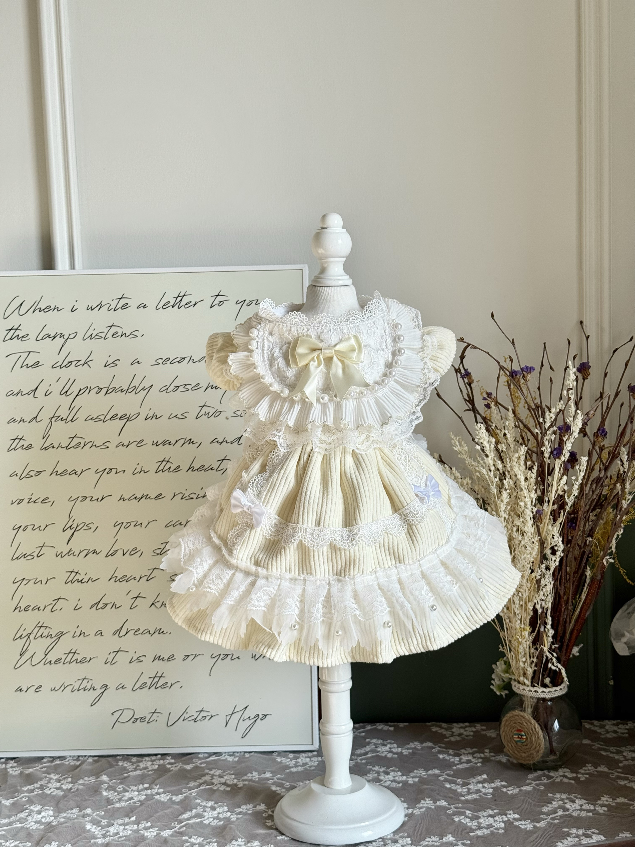 宠物放掉毛金吉拉金毛布偶泰迪犬