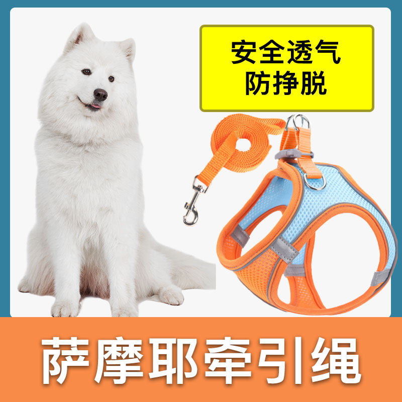 萨摩耶专用牵引绳背心式小型犬遛狗狗外出胸背带防挣脱幼犬狗链