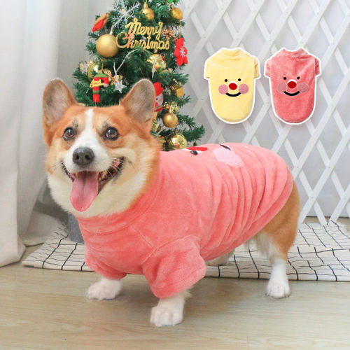 宠物狗狗2024新款衣服秋冬网红泰迪柯基小型犬中型犬加厚冬装冬款