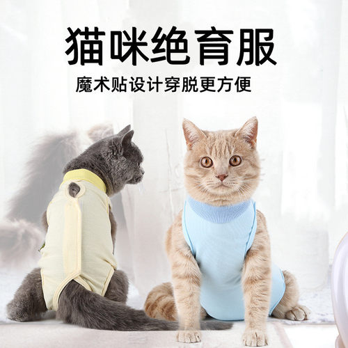 猫咪绝育服母猫防舔手术服防掉毛宠物用断奶可调节透气背心防护服