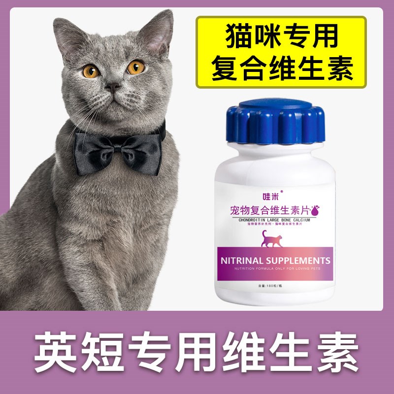 英短猫专用复合维生素片宠物补充剂成幼猫维生素b猫咪营养品保健