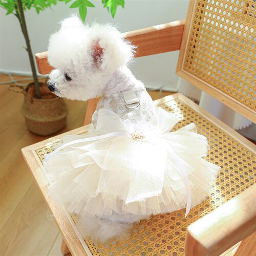 狗狗婚礼衣服结婚带牵引环猫咪陪嫁婚纱礼服比熊泰迪夏季薄款裙子