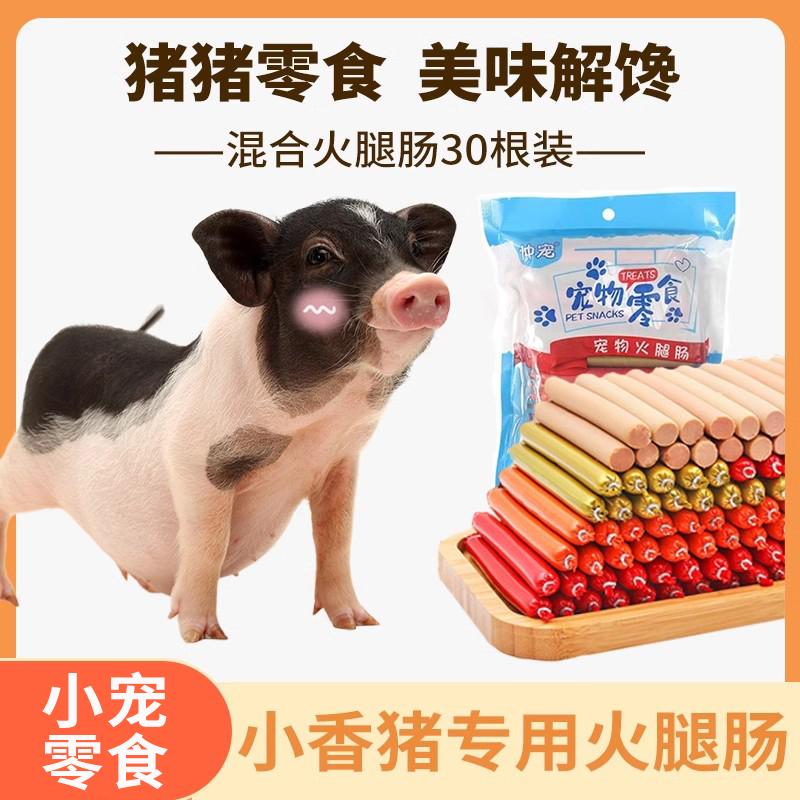 小香猪专用火腿肠宠物猪零食幼猪两个月香猪香肠宠物训练奖励吃的