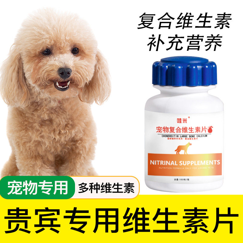 贵宾犬专用复合维生素片卷毛犬成幼犬维生素B贵妇犬幼犬营养保健