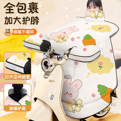 冬季电动车挡风被秋冬天防风挡雨罩小型电动车加绒加厚男女防寒罩