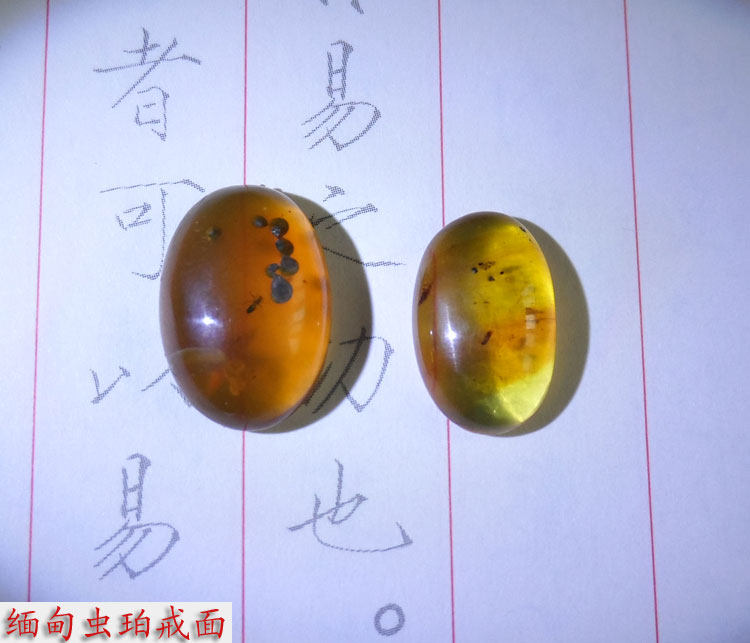 天然缅甸琥珀虫珀戒面戒指 少见的虫子还有孢子 非常漂亮