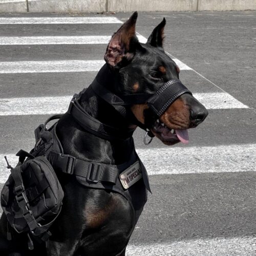 杜宾战术可调防爆冲嘴套