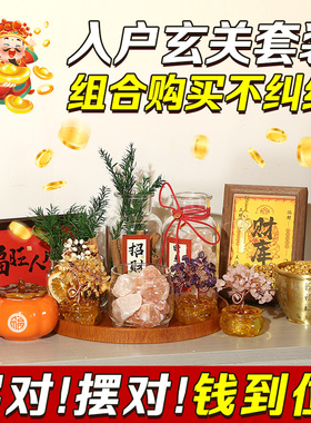 家居玄关摆件肉桂生财粗盐净宅大颗粒入户电视餐边柜招财客厅装饰