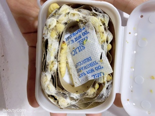 葡萄蜜玉米虫葡萄密虫大蜡螟幼体 钓饵 高蛋白鱼饲料鸟虫爬宠食物