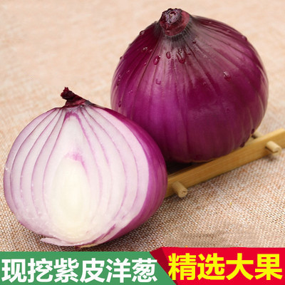 2021年新鲜蔬菜紫皮洋葱