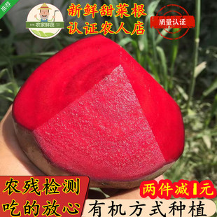 2025检疫新鲜甜菜根现挖发货甜菜头精选有机肥种植红菜头纯红多汁