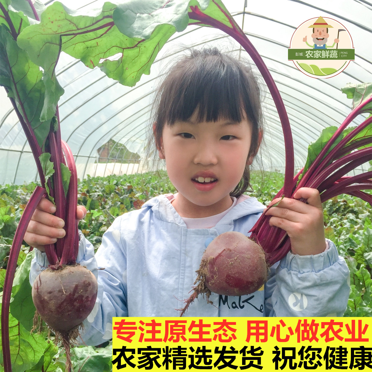 无农残新鲜甜菜根现挖发货甜菜头精选甜菜红菜头纯红多汁5斤